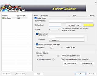 The Newsbin Pro Server Options window is open. It has the ability to add new servers or delete existing ones. Several checkboxes have been selected, including “Use SSL - Encrypted Connections”