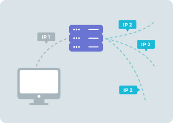 IP Address Masking