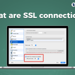 What are SSL connections?